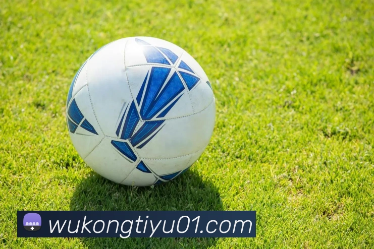 App Interface Preview