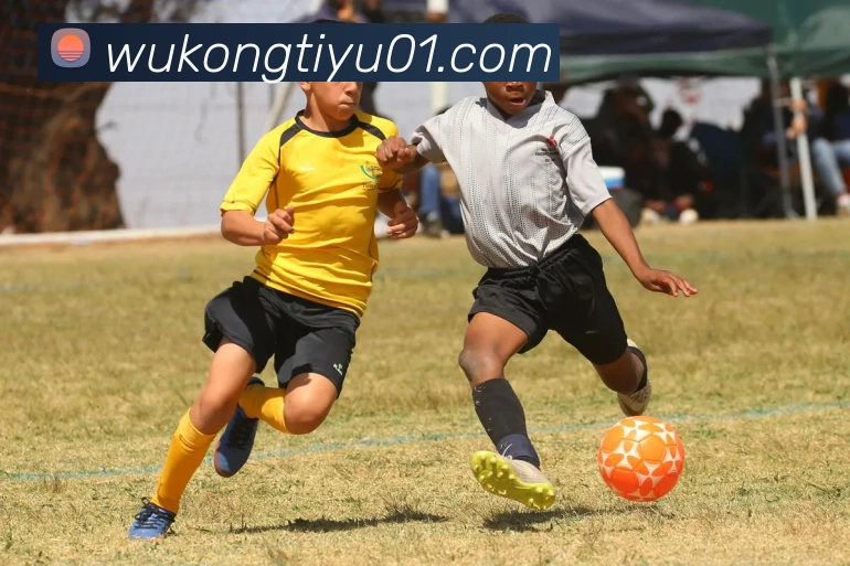 悟空体育APP 封面图