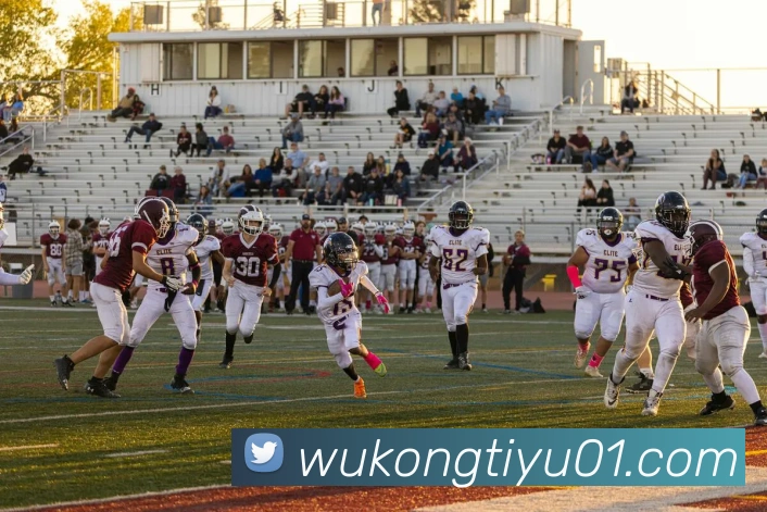 数据防护可视化